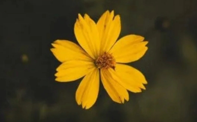 Adobe Express - file (5)