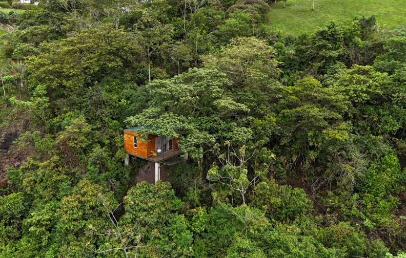 Adobe Express - file (6)