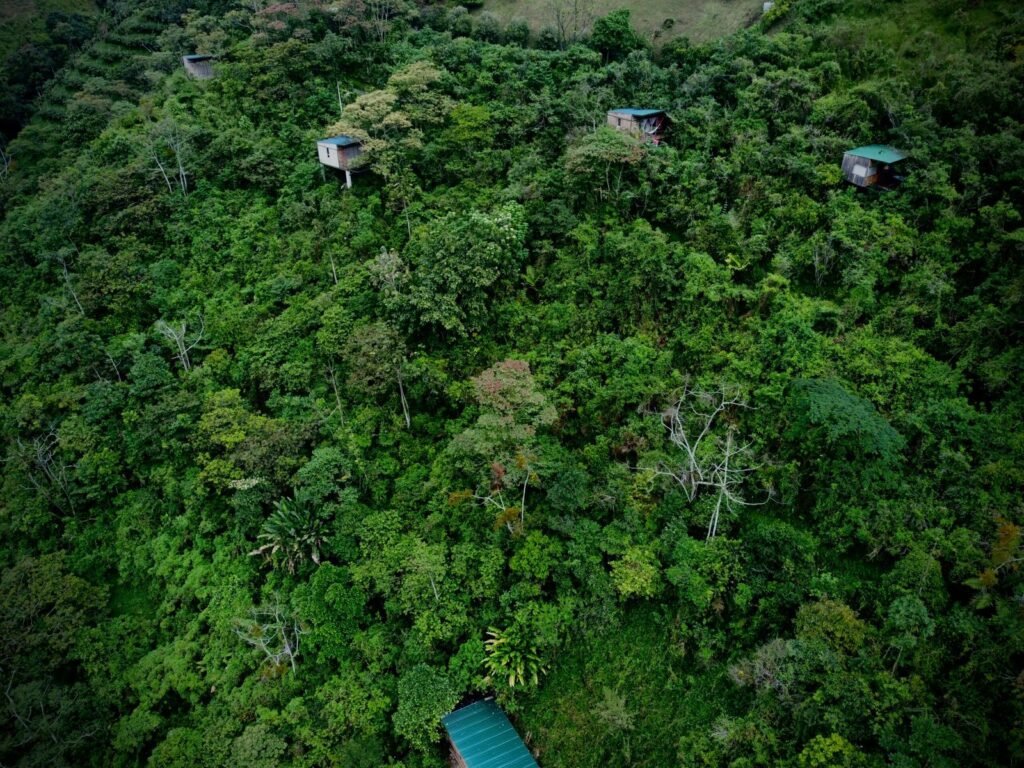 dji_fly_20221210_105930_743_1670688077967_photo_optimized-scaled